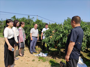 MVIMG_20220821_101547_proc_副本.jpg